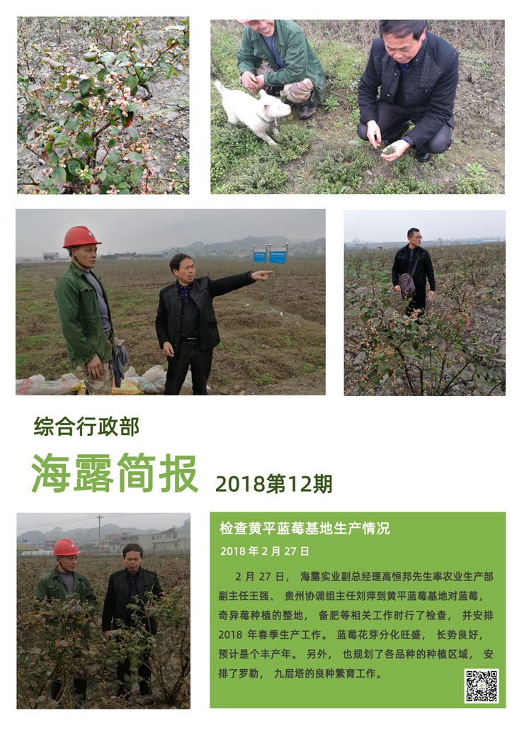 首页- J9集团国际站官网入口