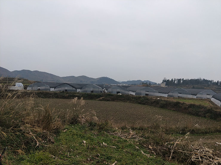 首页- J9集团国际站官网入口