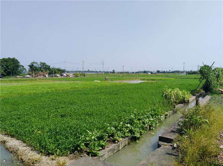 首页- J9集团国际站官网入口