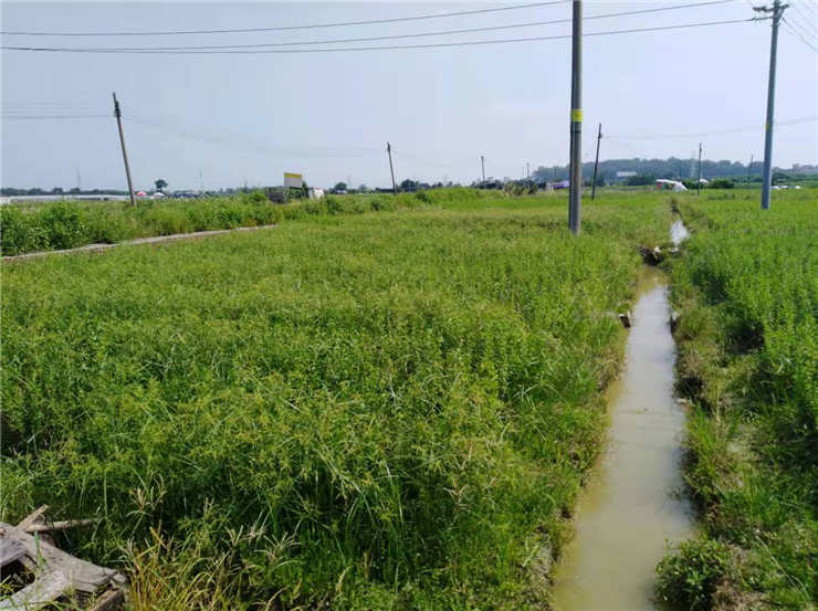 首页- J9集团国际站官网入口
