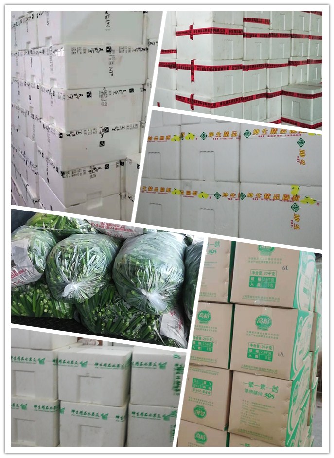 首页- J9集团国际站官网入口