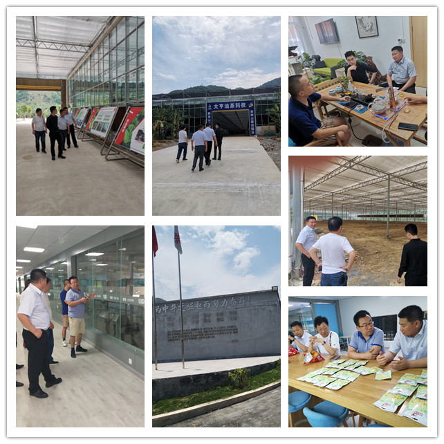 首页- J9集团国际站官网入口