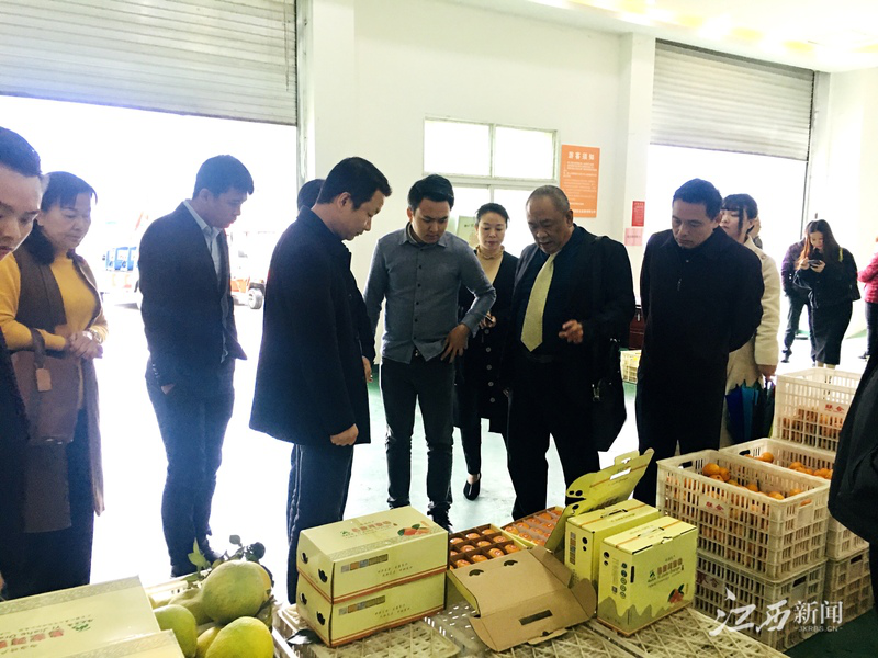 首页- J9集团国际站官网入口