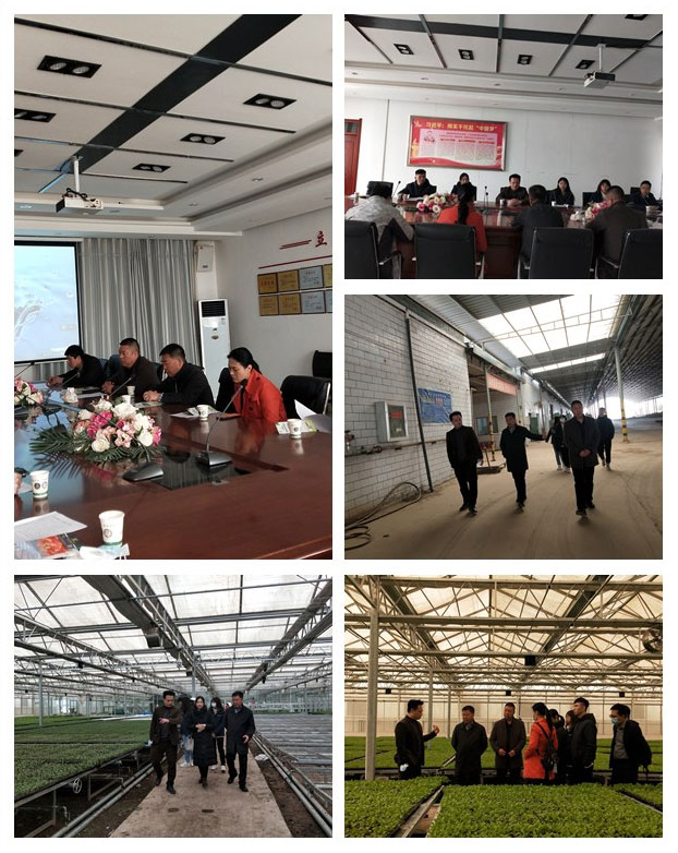 首页- J9集团国际站官网入口