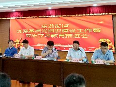 集团党支部参与东漖街路加强