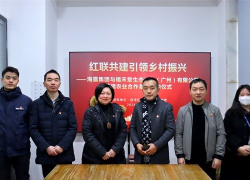 红联共建引领村落振兴，党建促业务深度融合