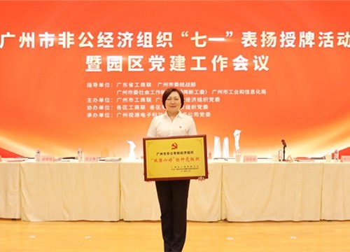 标杆引领，荣誉升级！集团党支部荣膺广州市非公有造经济组织“双强六好”标