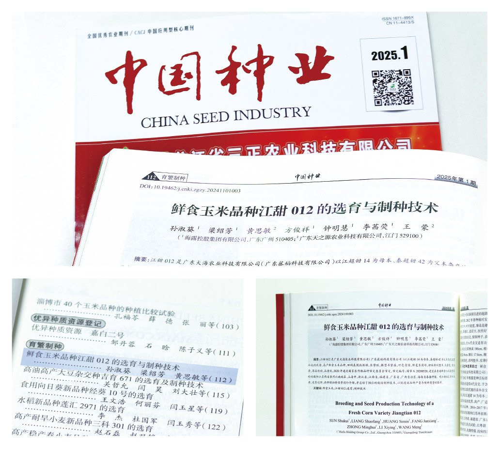 首页- J9集团国际站官网入口