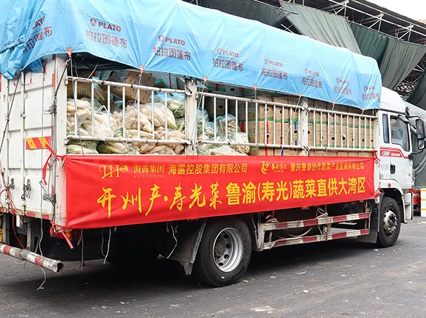 渠路赋能，集团助力沉庆开州蔬菜首发直供大湾区